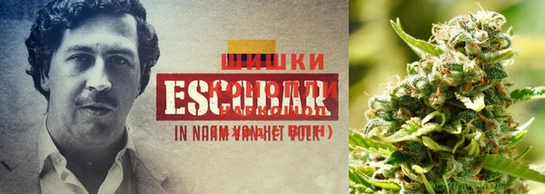 прущая мука Карпинск